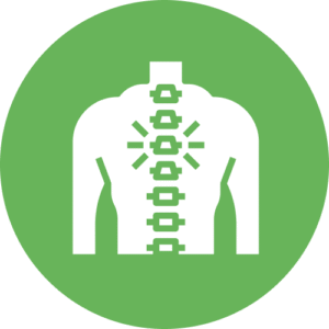 spine problem icon